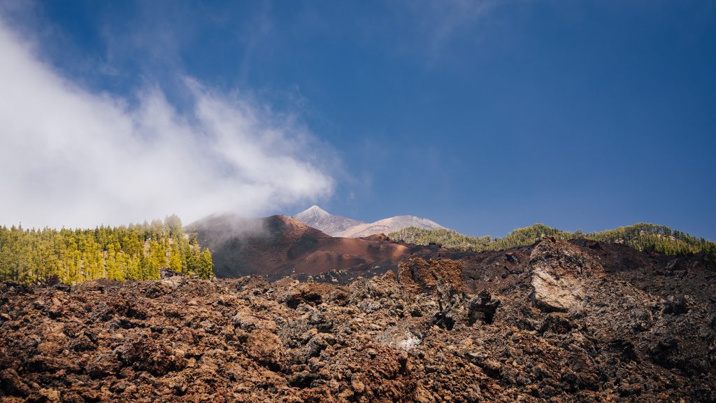 Inauguración del parque eólico Finca San Juan, en Tenerife